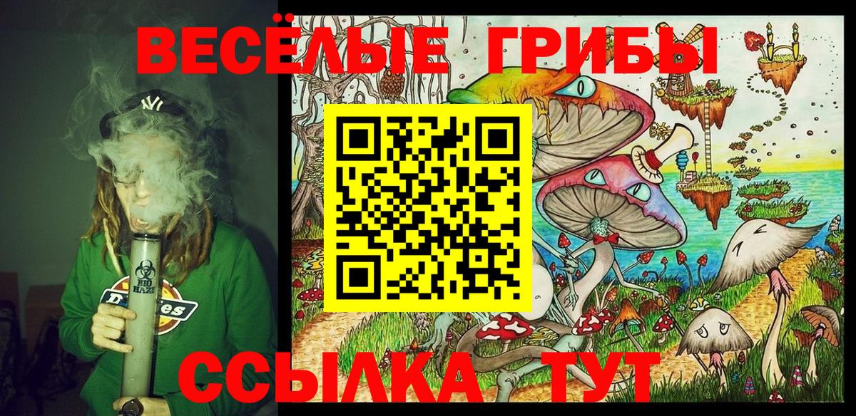 Псилоцибиновые грибы Magic Shrooms  Вход с VPN  Псилоцибиновые грибы прущие грибы  Новотроицк 